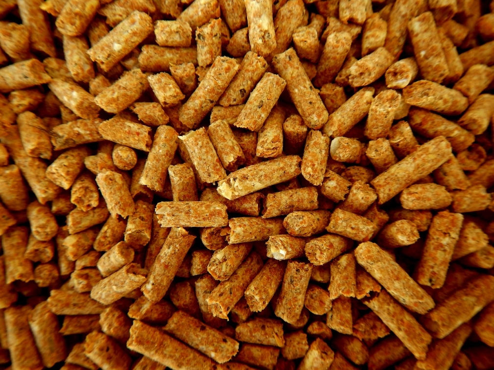 Pellet – rodzaje, spalanie, wydajność i wpływ na środowisko