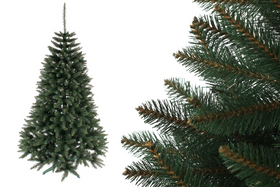 Choinka Świerk Nordycki 220cm