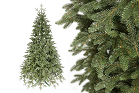 Choinka Świerk Leśny 180cm