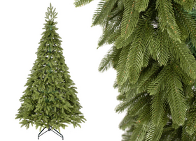 Choinka Jodła Szlachetna  180cm