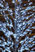 Boże Narodzenie - Drzewko 328 LED do użytku wewnętrznego i zewnętrznego 1,5m zimny biały (4)