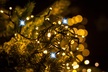 Boże Narodzenie - Lampki 200 LED Linia Profesjonalna Efekt Flesz 40 LED Ciepły Biały (5) Boże Narodzenie - Lampki 200 LED Linia Profesjonalna Efekt Flesz 40 LED Ciepły Biały (5)