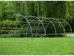 Tunele foliowe - Tunel Foliowy Ogrodowy Szklarnia 3x6M (16)