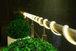 Lampki choinkowe - Wąż Świetlny Zewnętrzny NEON 6M CIEPŁY BIAŁY (3)
