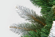 Boże Narodzenie - Sosna z brokatem biała 220 cm  CHOINKA SZTUCZNA  (6)