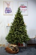 Choinki sztuczne - Choinka Jodła Szlachetna  220m (8)