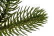 Choinki sztuczne - Choinka Świerk Leśny 180cm (10)