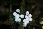 Boże Narodzenie - Lampki Choinkowe 20 LED Kryształki BIAŁE ZIMNE (2)
