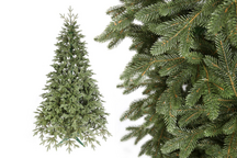 Choinka Świerk Leśny 220cm