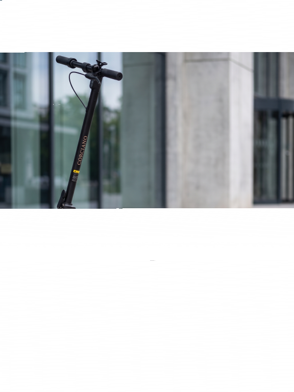 Hulajnogi elektryczne - Hulajnoga Elektryczna CORCIANO F13 – 500W (6)