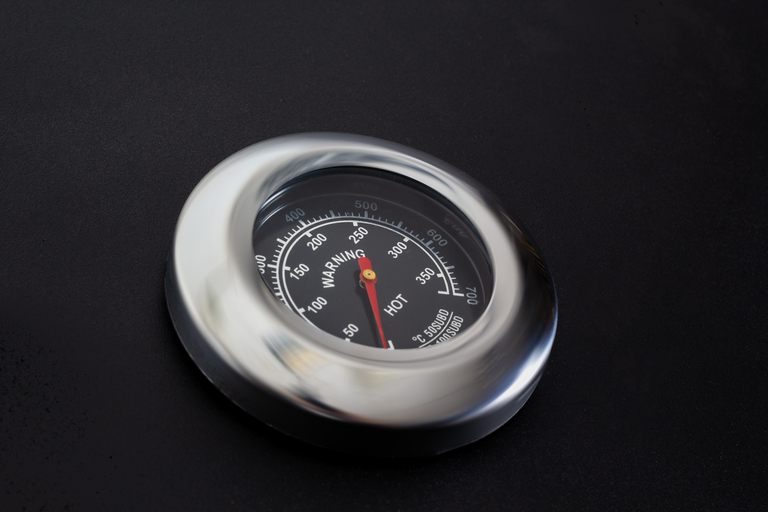 Grille - Grill ogrodowy węglowy ruszt żeliwny wózek Carbo - Angul (13)