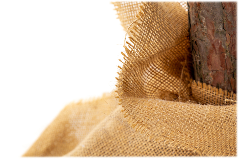 Choinki sztuczne - Sosna diamentowa sztuczna LUX na pniu 180 cm (10)