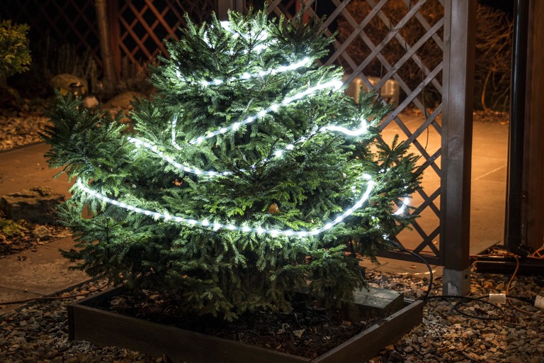 Ozdoby świąteczne - Wąż Świetlny Zewnętrzny 240 LED 10M ZIMNY BIAŁY 230V CH37 (5) Ozdoby świąteczne - Wąż Świetlny Zewnętrzny 240 LED 10M ZIMNY BIAŁY 230V CH37 (5)