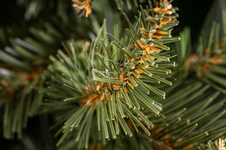 Choinki sztuczne - Choinka Świerk Nordycki 180cm (11)