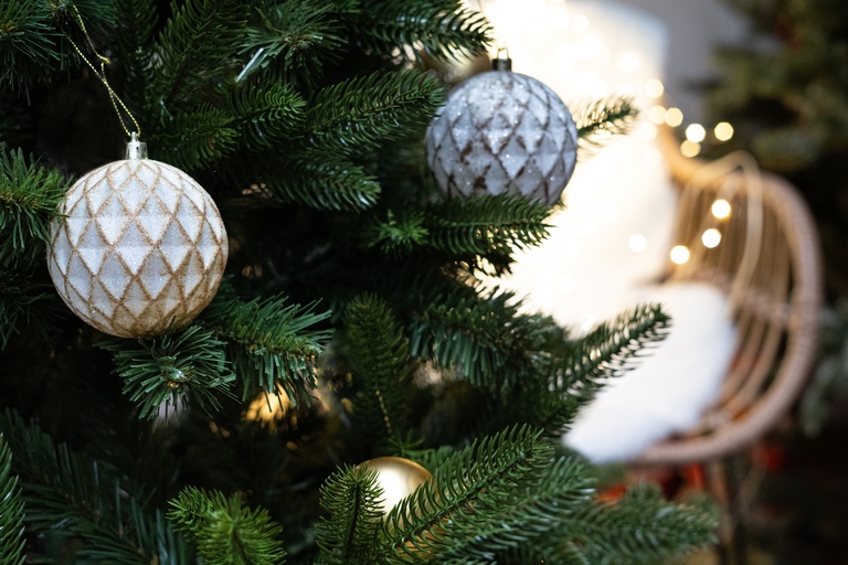 Choinki sztuczne - Choinka Jodła Szlachetna  220m (6)