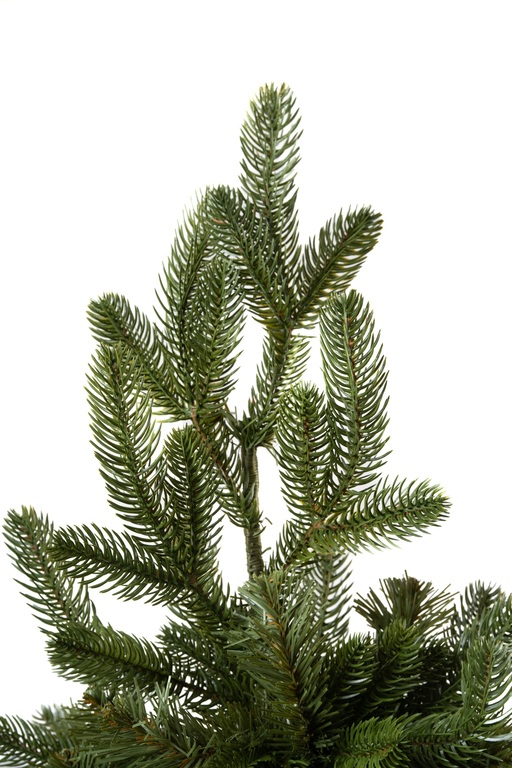 Choinki sztuczne - Choinka Jodła Szlachetna  220m (7)