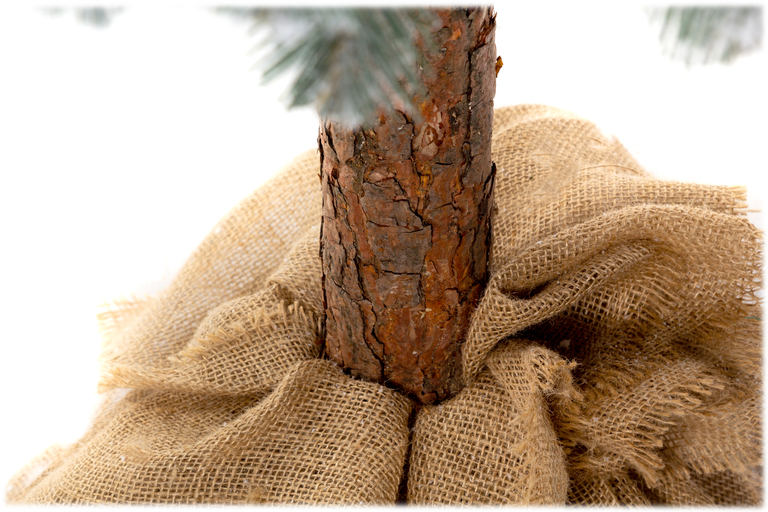 Choinki sztuczne - Sosna diamentowa sztuczna LUX na pniu 180 cm (8)