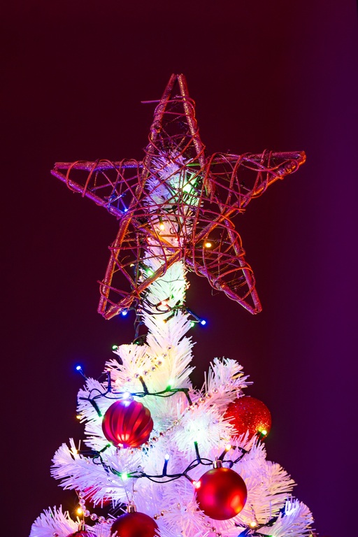 Choinki sztuczne - Choinka Sztuczna Sosna Biała 180cm  (4)